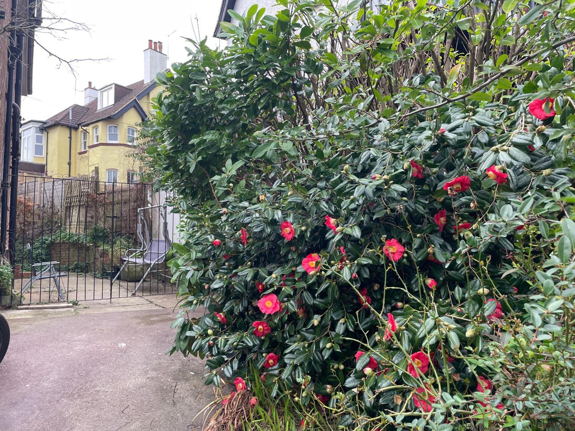 Livadia House At St Leonards On Sea Bed & Breakfast Exterior foto